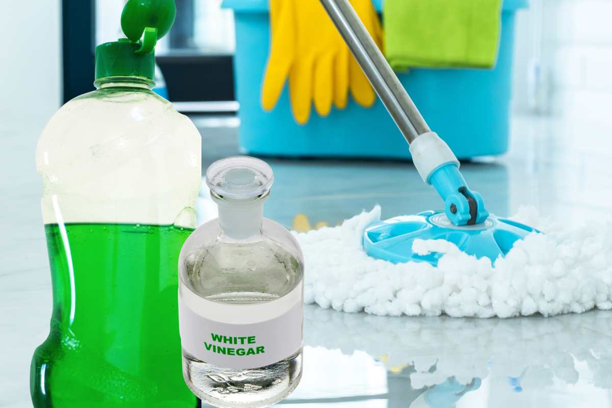 sapone piatti aceto pavimento lavaggio 