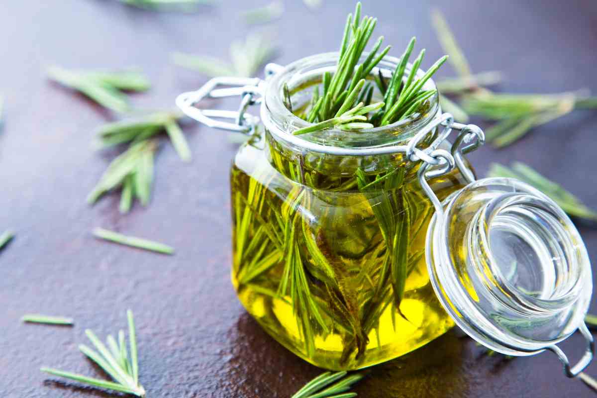 rosmarino olio